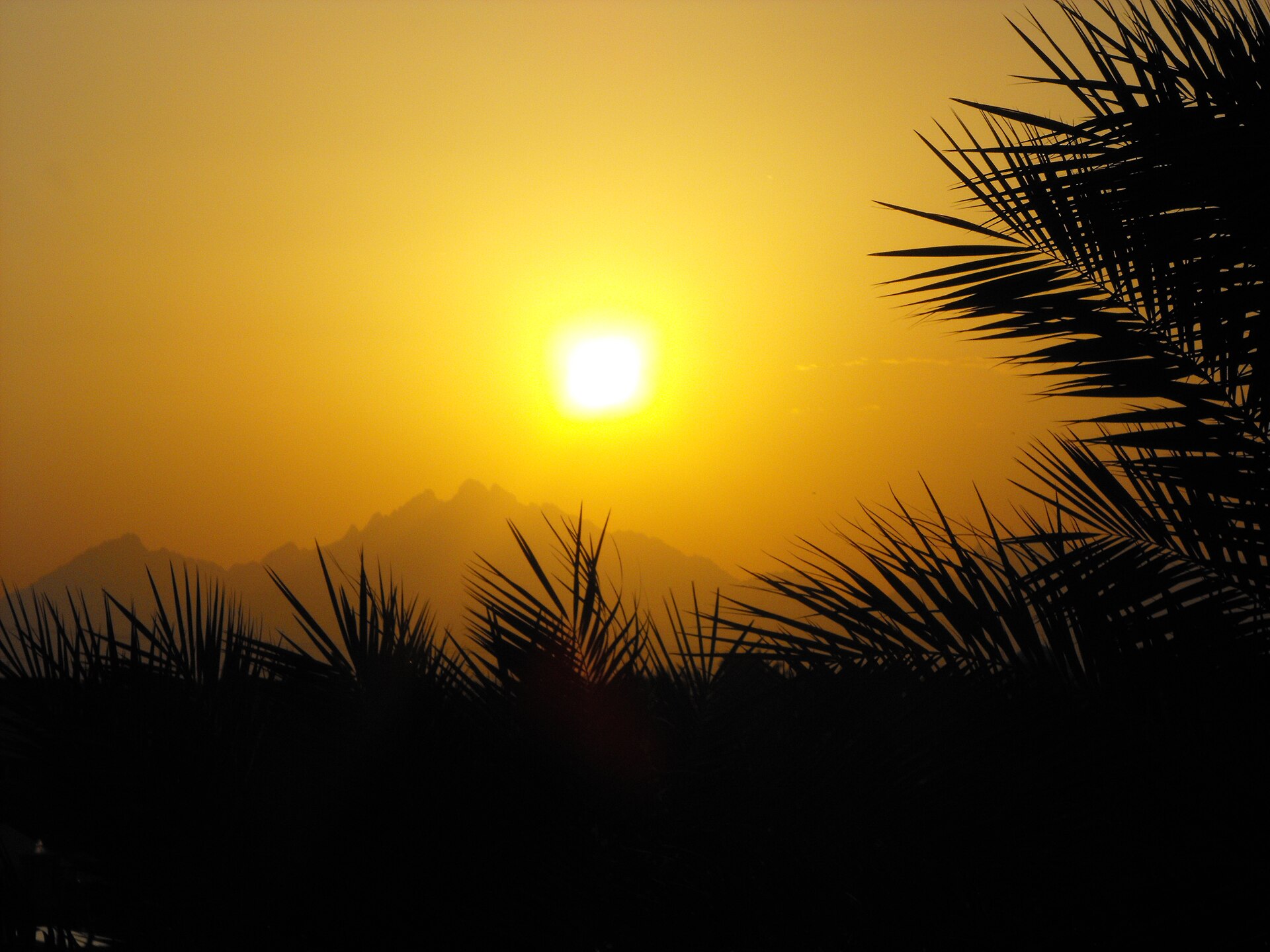 Solnedgång i Hurghada