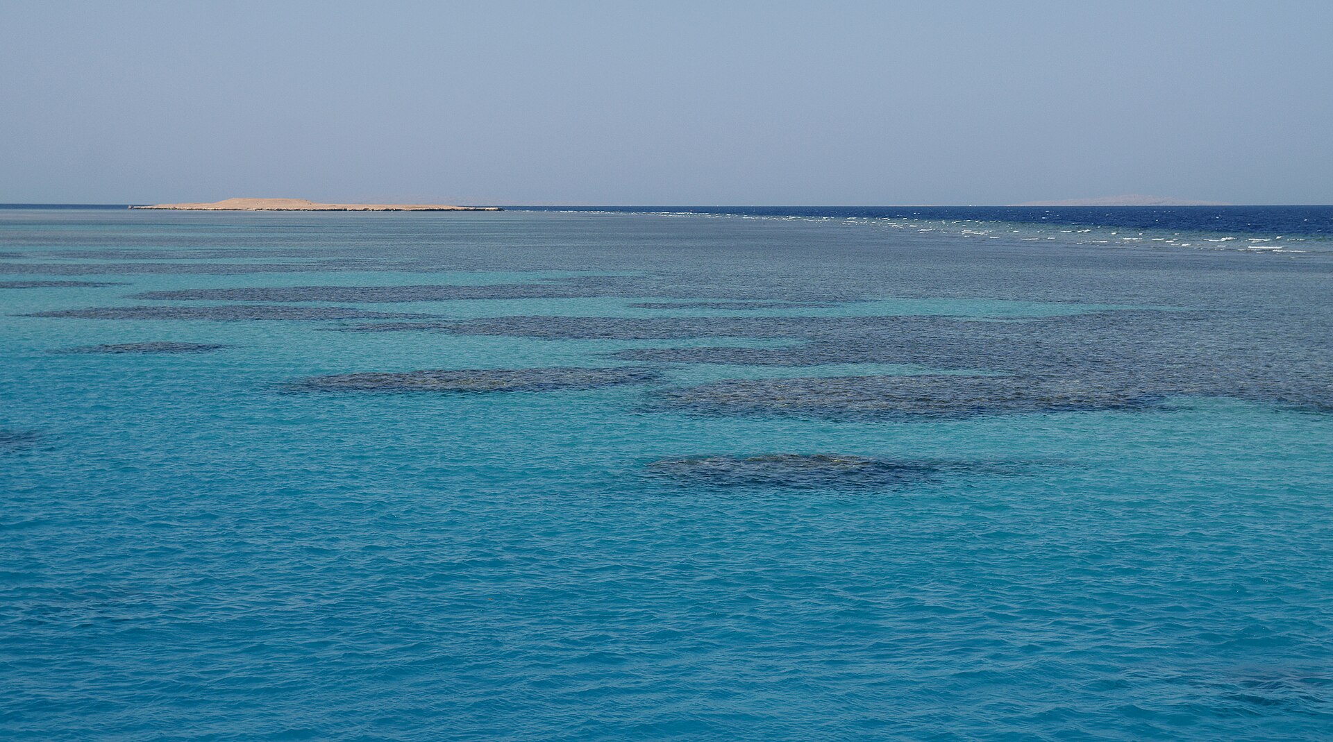 Korallrev i Röda havet